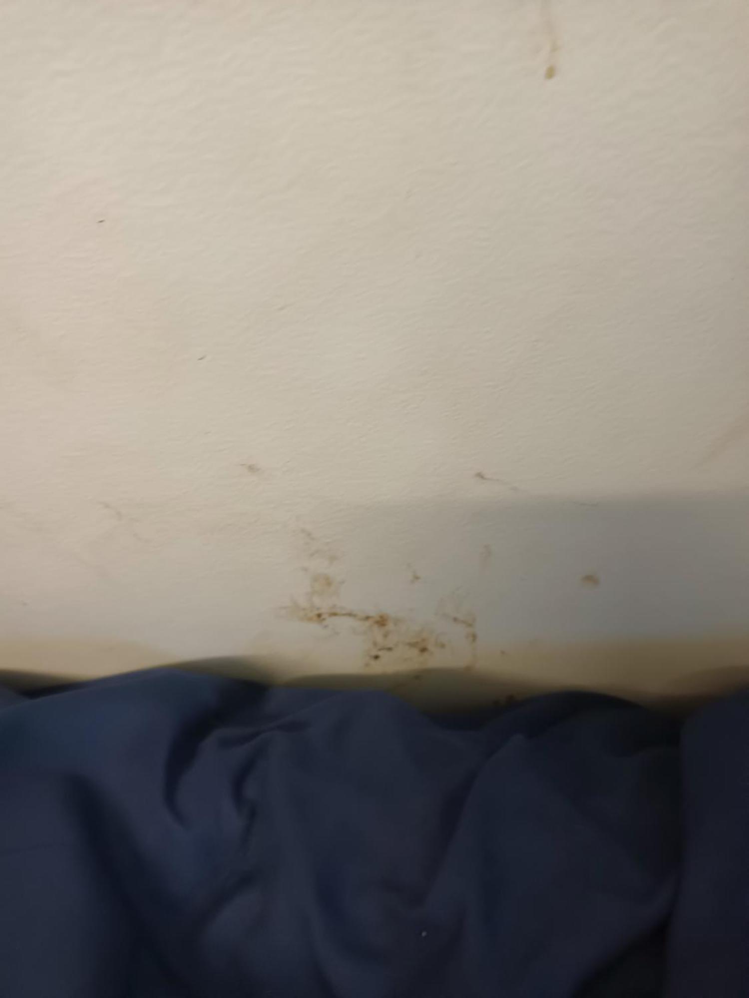 Single Room In Wollongong Near Uni Keiraville Zimmer foto