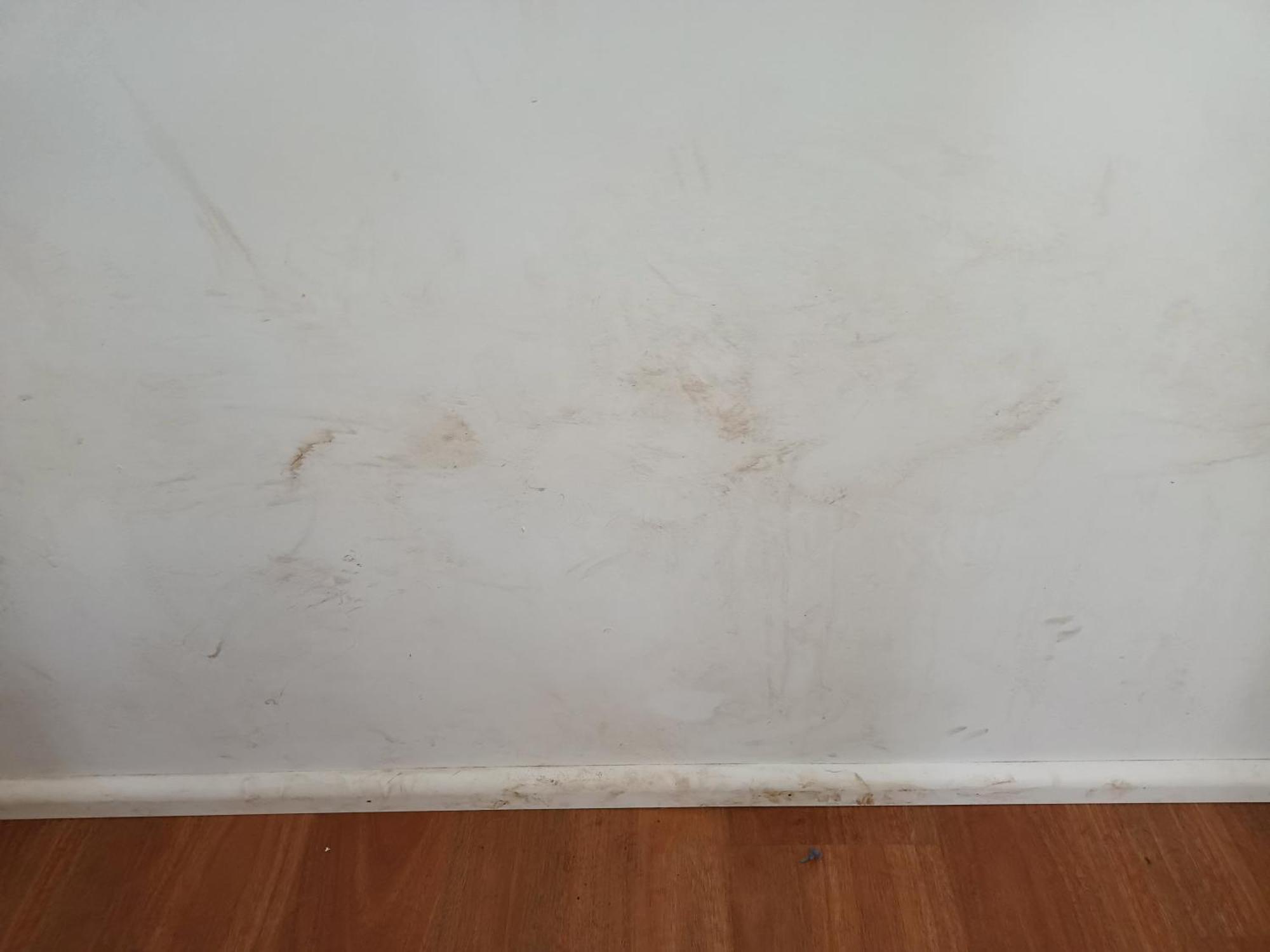 Single Room In Wollongong Near Uni Keiraville Zimmer foto